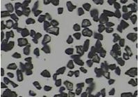 Characteristics and Application of Vinde Tools' Solid CBN Grades